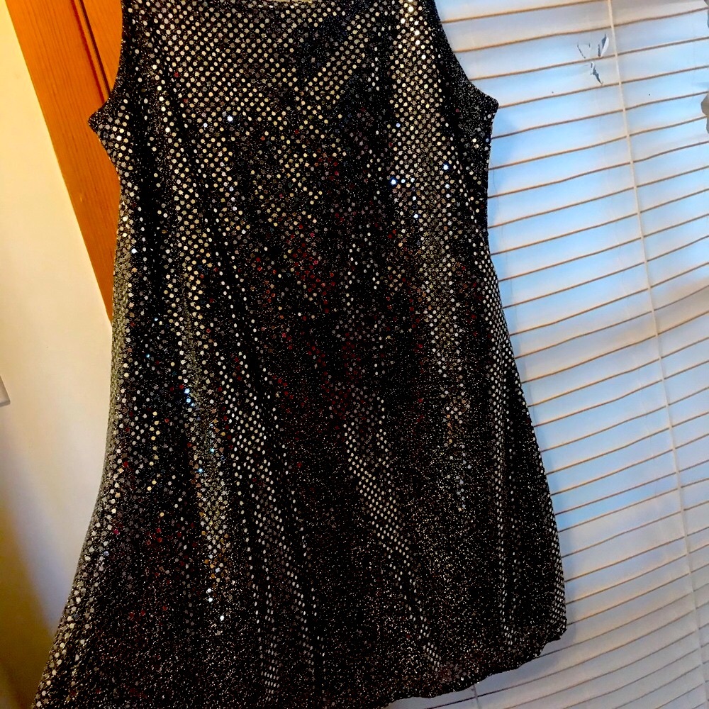 Silver shinny evening CACHE dress A line